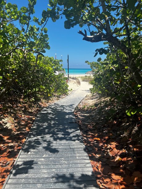 Ryan Barker modèle pornographique archive