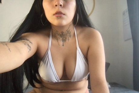 canelit étoile de l'art img