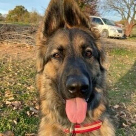 épouse amateur onlyfans plutôt sexy collection