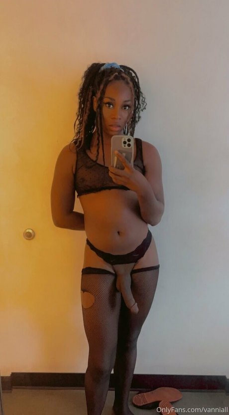 Vanniall modèle exclusif galeries