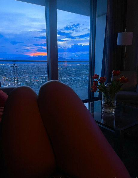 unashamed sexe de star du porno collection