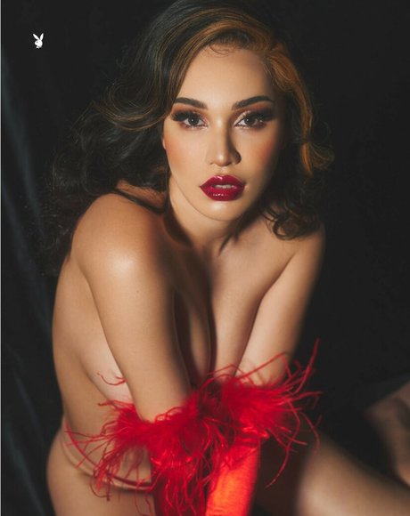 Kate Morinaga jolie étoile collection