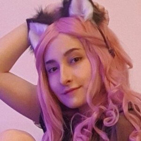 chaton potelé uniquementfans chaud sympa photos