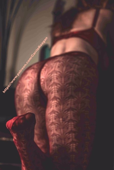 fans uniquement du dmv magnifique parfait collection