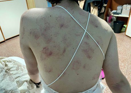 latines aux gros culs, fans uniquement adulte xxx collection