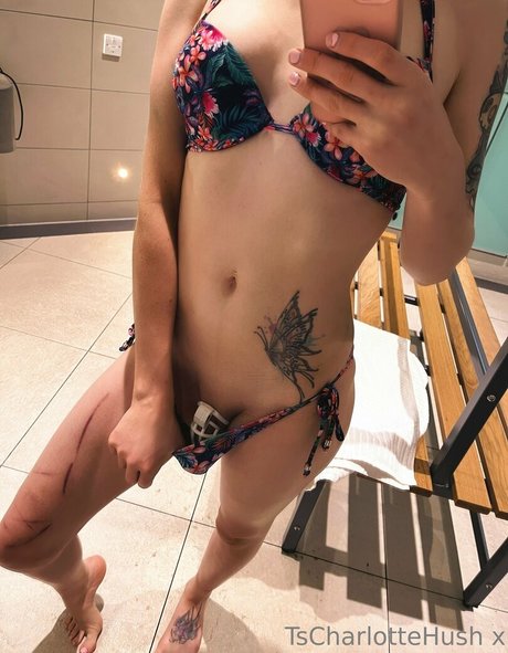 tscharlottehush art modèle img