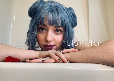 fans noirs enceintes uniquement bel art archive