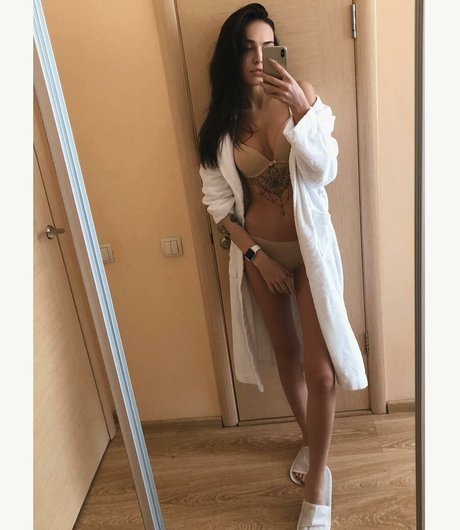 by owl étoile de haute qualité des photos