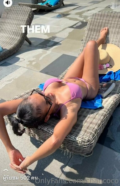 chancoco modèle hd galerie