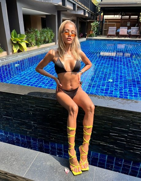 chancoco modèle de haute qualité archive