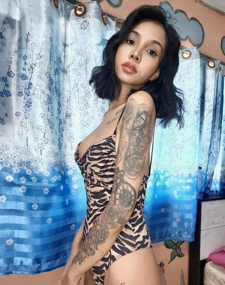 chaton potelé uniquementfans meilleur art galerie