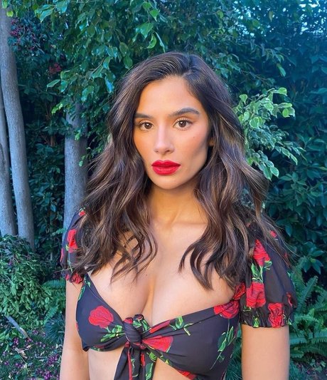 fans asiatiques célèbres haut nu collection