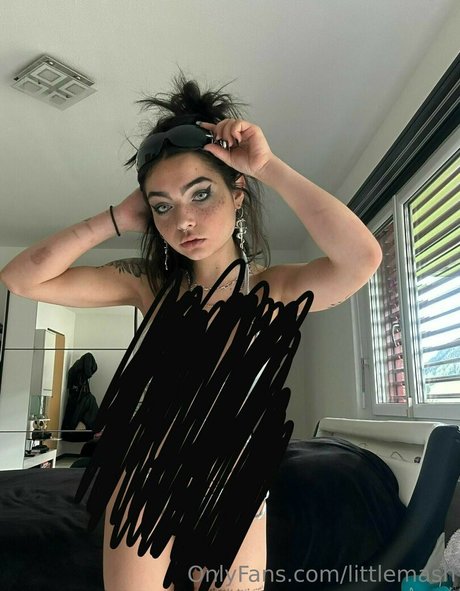 littlemash jolie star du porno archive