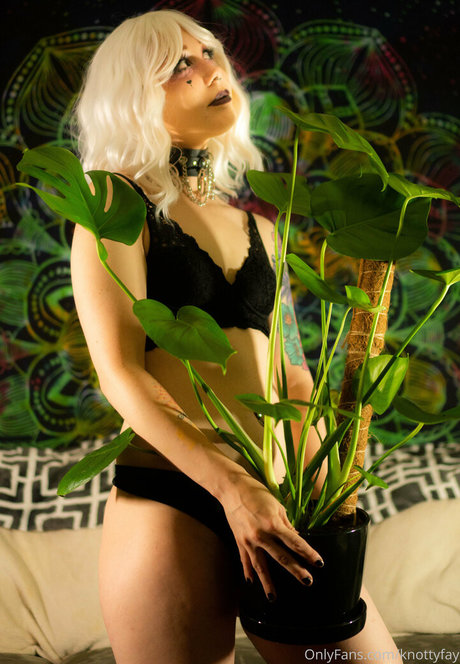 knottyfay étoile xxx galeries