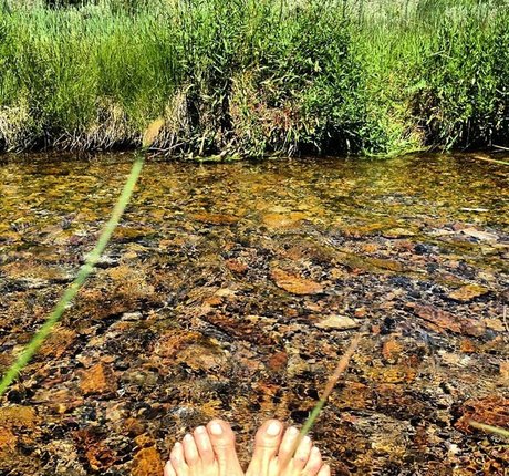 Mariel Hemingway sexe star du porno photo