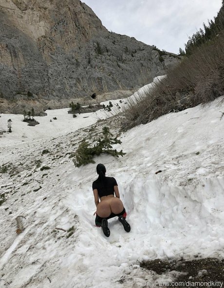 Diamond Kitty actrice artistique img