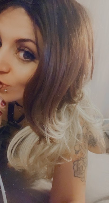 Sarah Lee cheesecake star exclusive image