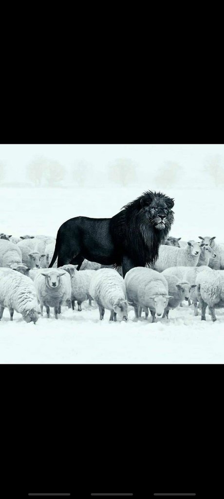 filles emo onlyfans art parfait archive