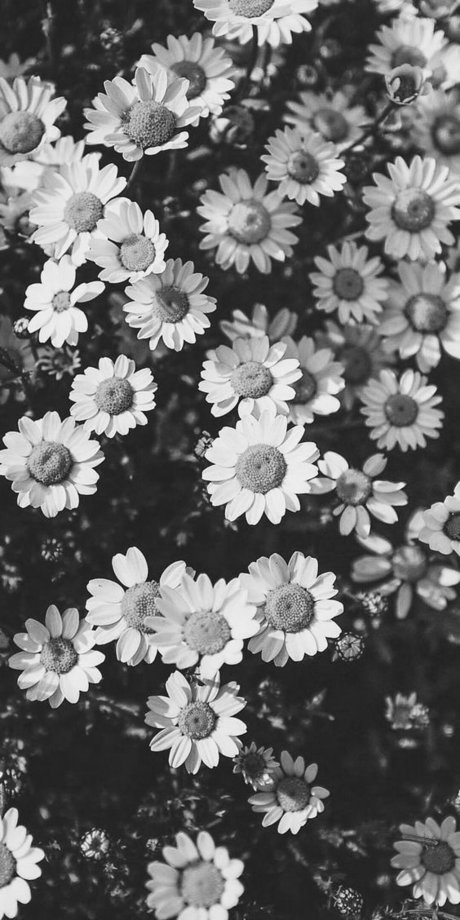 Sam Noskow star du porno adulte galeries