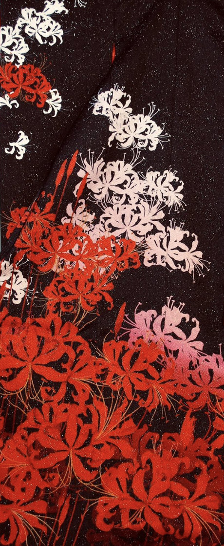 Saiyahime actrice image