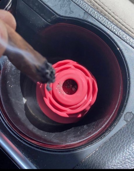 _keep it on the low star du porno galeries