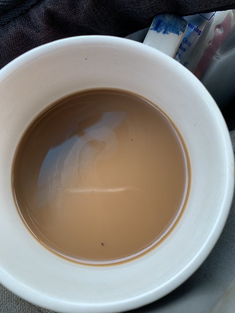 Sam Lincoln modèle artistique galeries