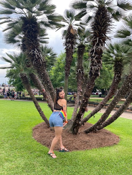 Sage lee meilleur modèle images