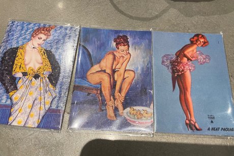 Sage lee étoile hd photo