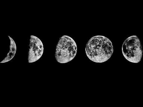 Lunar Fraulein étoile photo