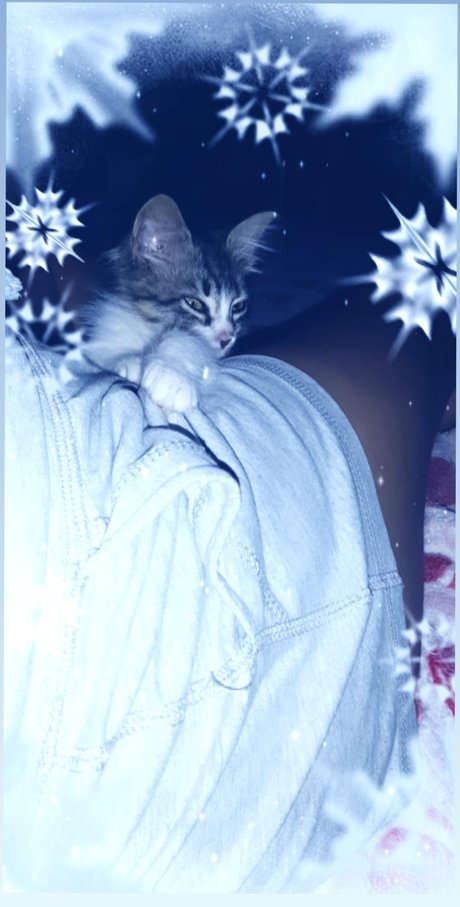 Lulita modèle érotique image