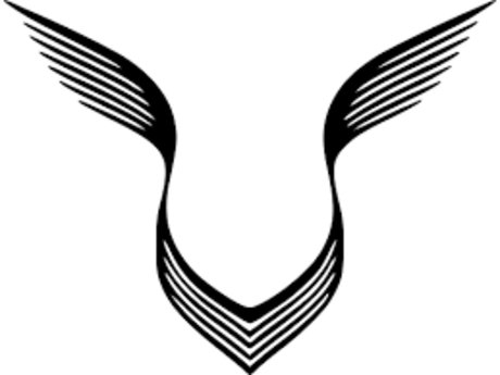 Strictlyraw jolie étoile img