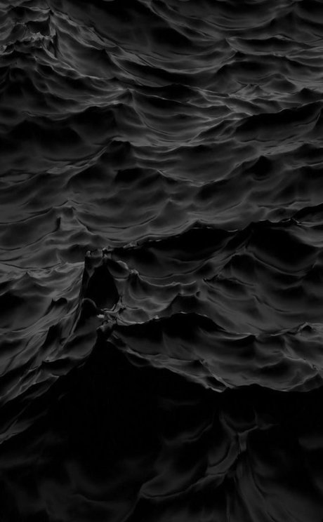 Rosie Paradise VIP étoile adulte image