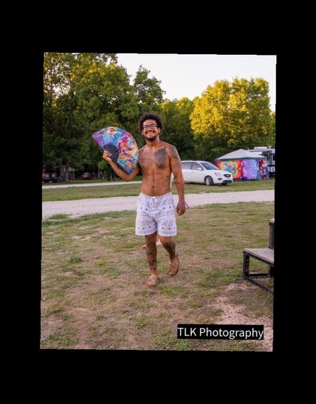 Savory Sage paid étoile magnifique collection