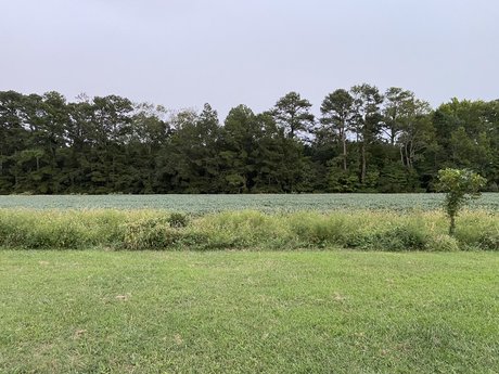 Savannah Rex beau modèle images