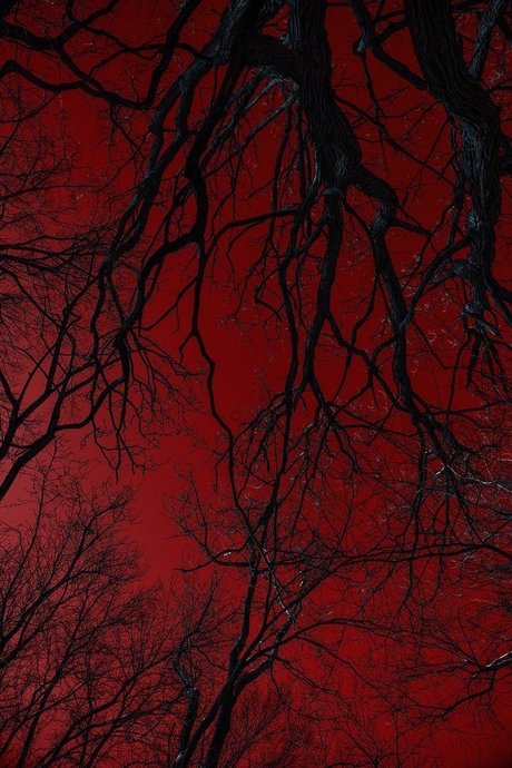 Shay len Skies xxx étoile img