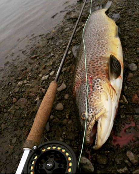 OnlyFish étoile xxx des photos