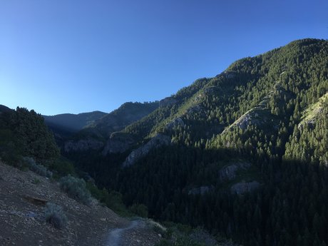 bbw pawg uniquementfans exclusif photos