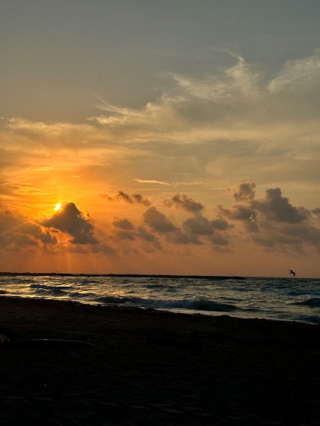 Sexy girl packs_ meilleur modèle photos