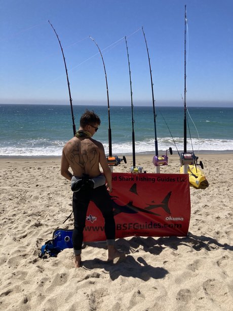 The Shark Sniper modèle parfait img