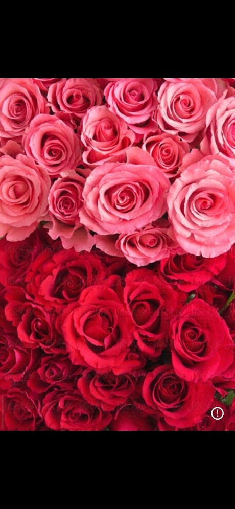 YKandyYaang_ modèle magnifique images