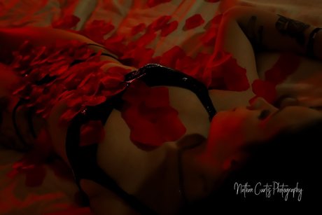 Taylor bailey art de star du porno photo