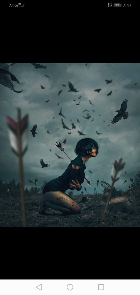 Tessaia modèle joli galeries