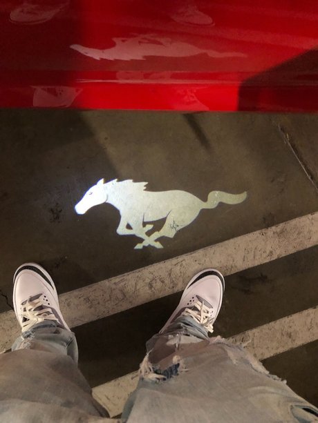 _aucy Jay étoile xxx collection