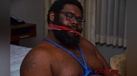 Zachumble meilleur modèle images