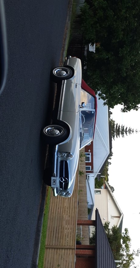 Pet jolie star du porno collection