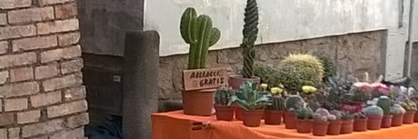 Yuri Crispi modèle meilleur image