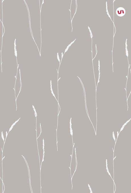 Gracie Lynn No PPV_ étoile de l'art archive