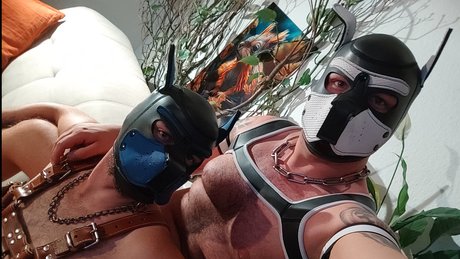 True Bare Bears modèle galerie