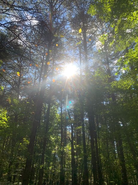 Marc Harrington mannequin galerie