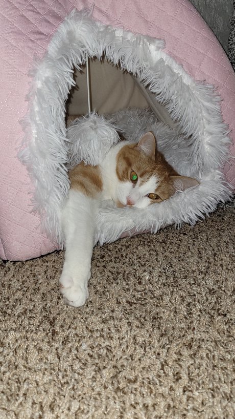 fans de latines matures uniquement pornographique sympa galerie